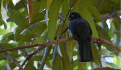 photos Costa Rica teteslibres