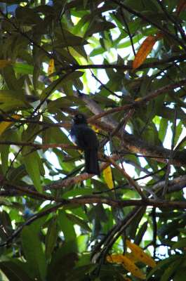 photos Costa Rica teteslibres