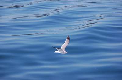 photos Costa Rica teteslibres