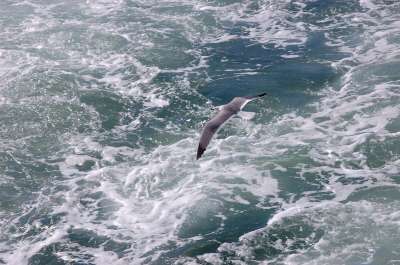 photos Costa Rica teteslibres