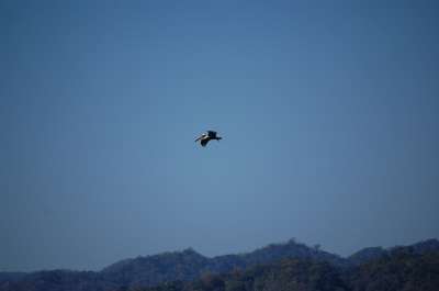 photos Costa Rica teteslibres