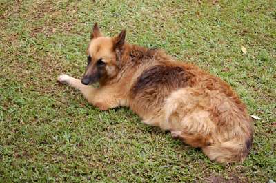 photos Costa Rica teteslibres