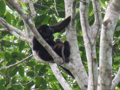 photos Costa Rica teteslibres
