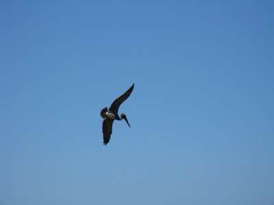 photos Costa Rica teteslibres