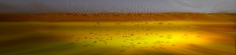 brouehaha le blog de martin jacques