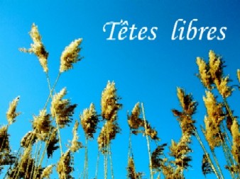 logo-teteslibres_2